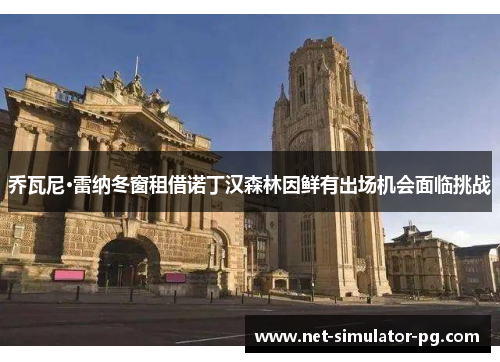 乔瓦尼·雷纳冬窗租借诺丁汉森林因鲜有出场机会面临挑战